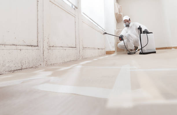 24/7 Emergency Attic Mold Removal experts in Newton, MA