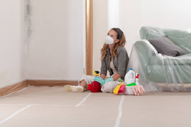 Reliable Attic Mold Removal contractor in Newton, MA by WQB Mold Removal